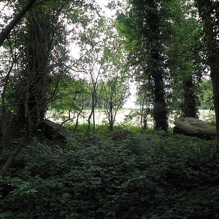 Photo de Allée couverte de Four-es-Feins à Miniac-Morvan