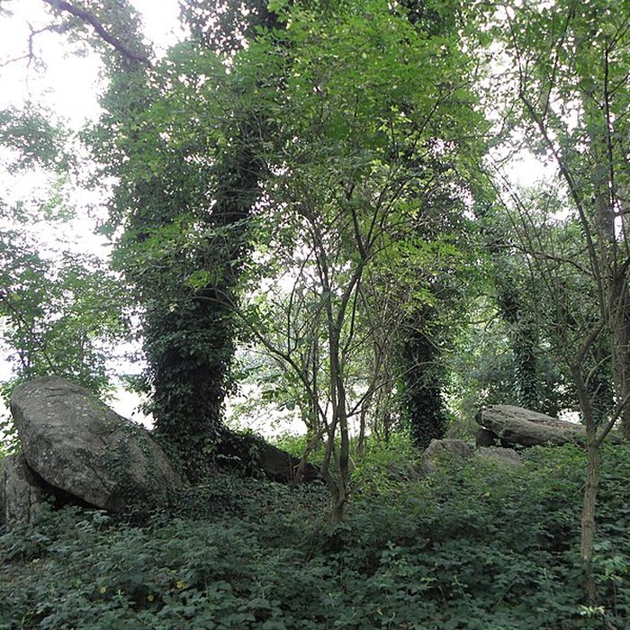 Photo de Allée couverte de Four-es-Feins à Miniac-Morvan