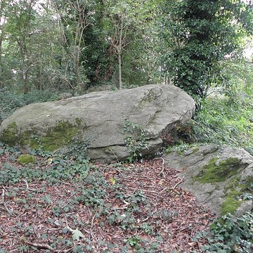 Allée couverte de Four-es-Feins à Miniac-Morvan