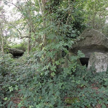 Allée couverte de Four-es-Feins à Miniac-Morvan