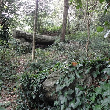 Allée couverte de Four-es-Feins à Miniac-Morvan
