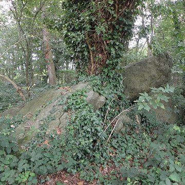 Allée couverte de Four-es-Feins à Miniac-Morvan