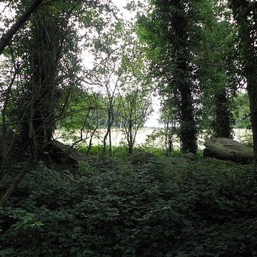 Allée couverte de Four-es-Feins à Miniac-Morvan