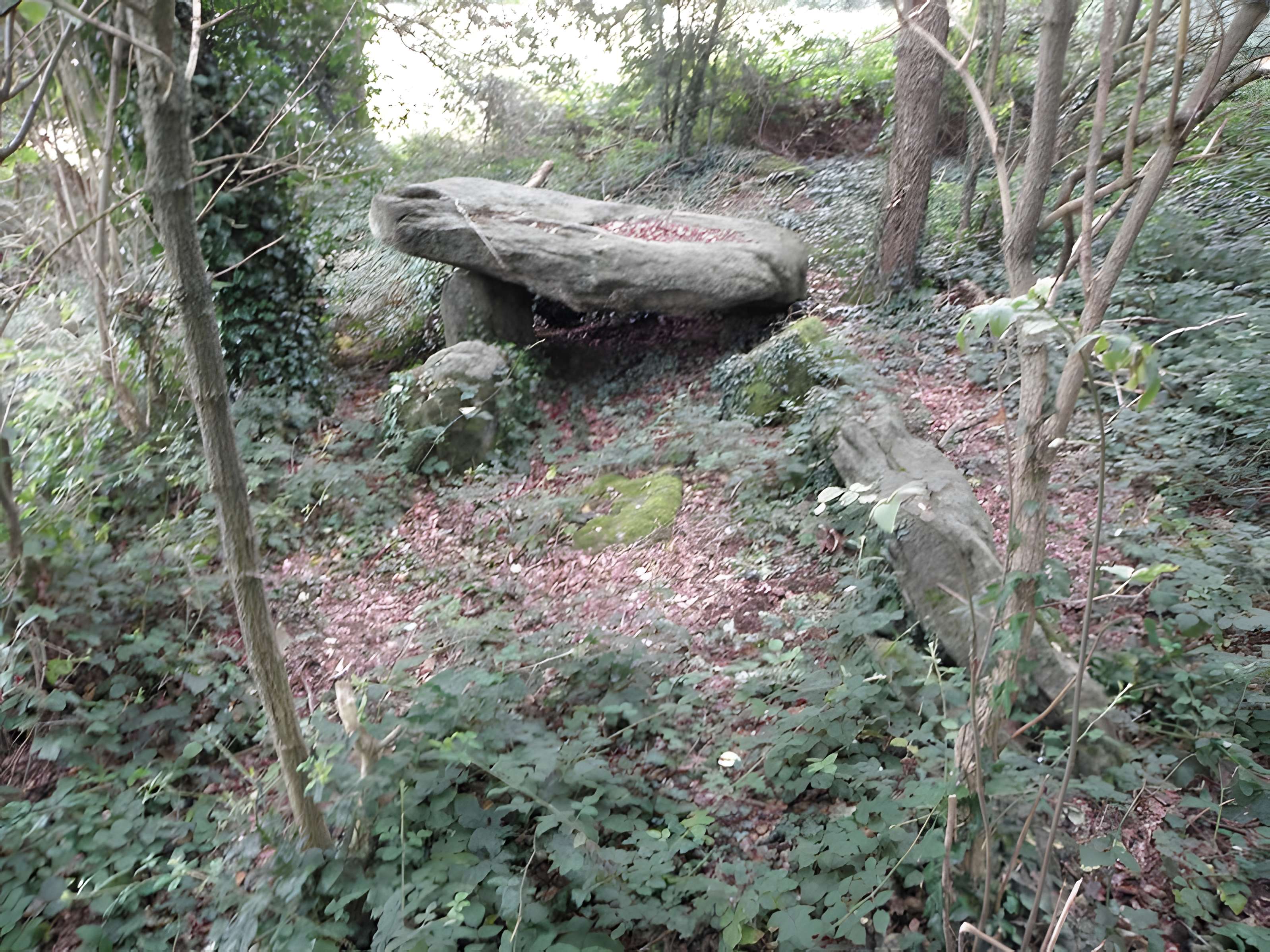 Allée couverte de Four-es-Feins à Miniac-Morvan 