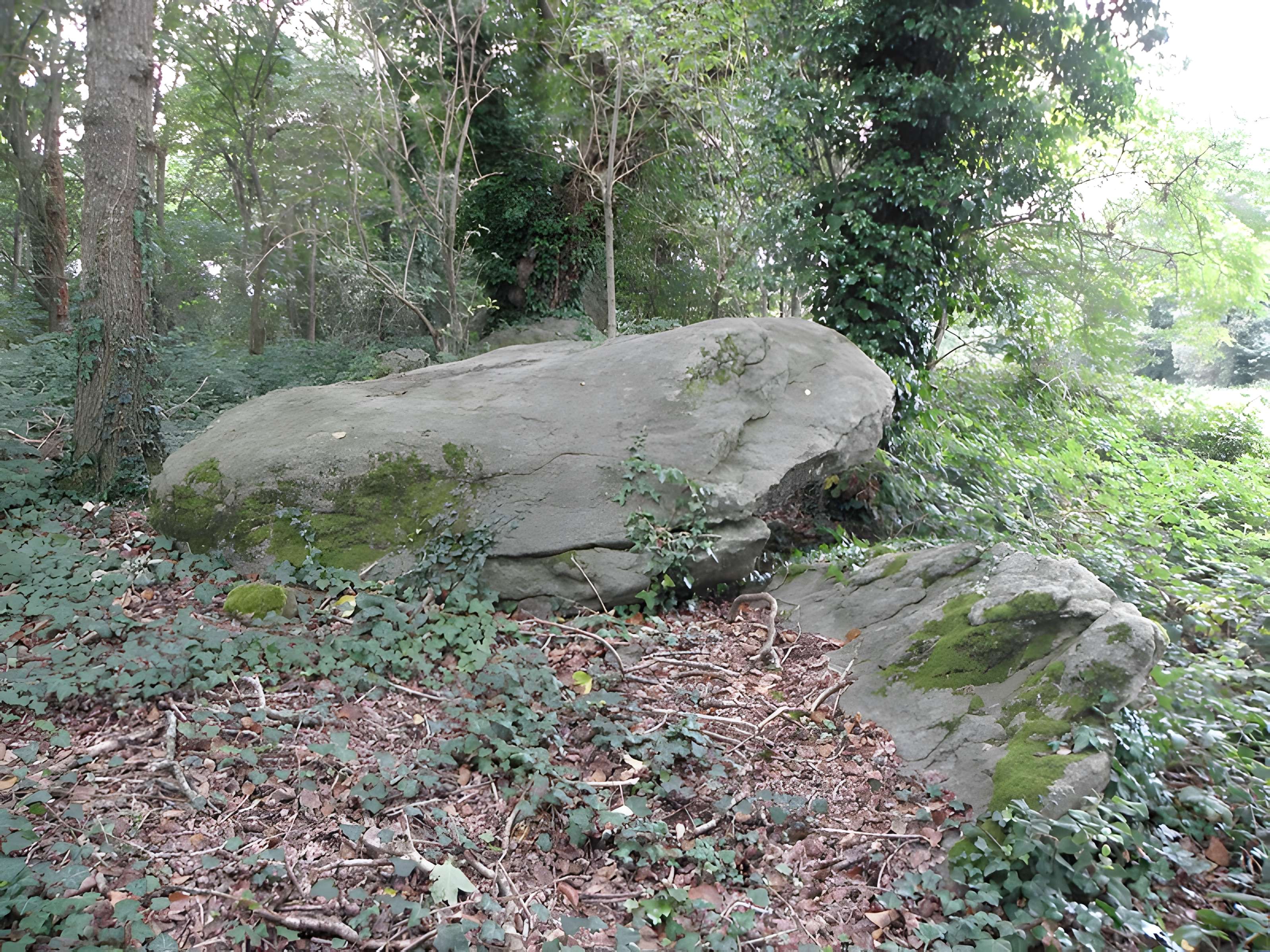 Allée couverte de Four-es-Feins à Miniac-Morvan