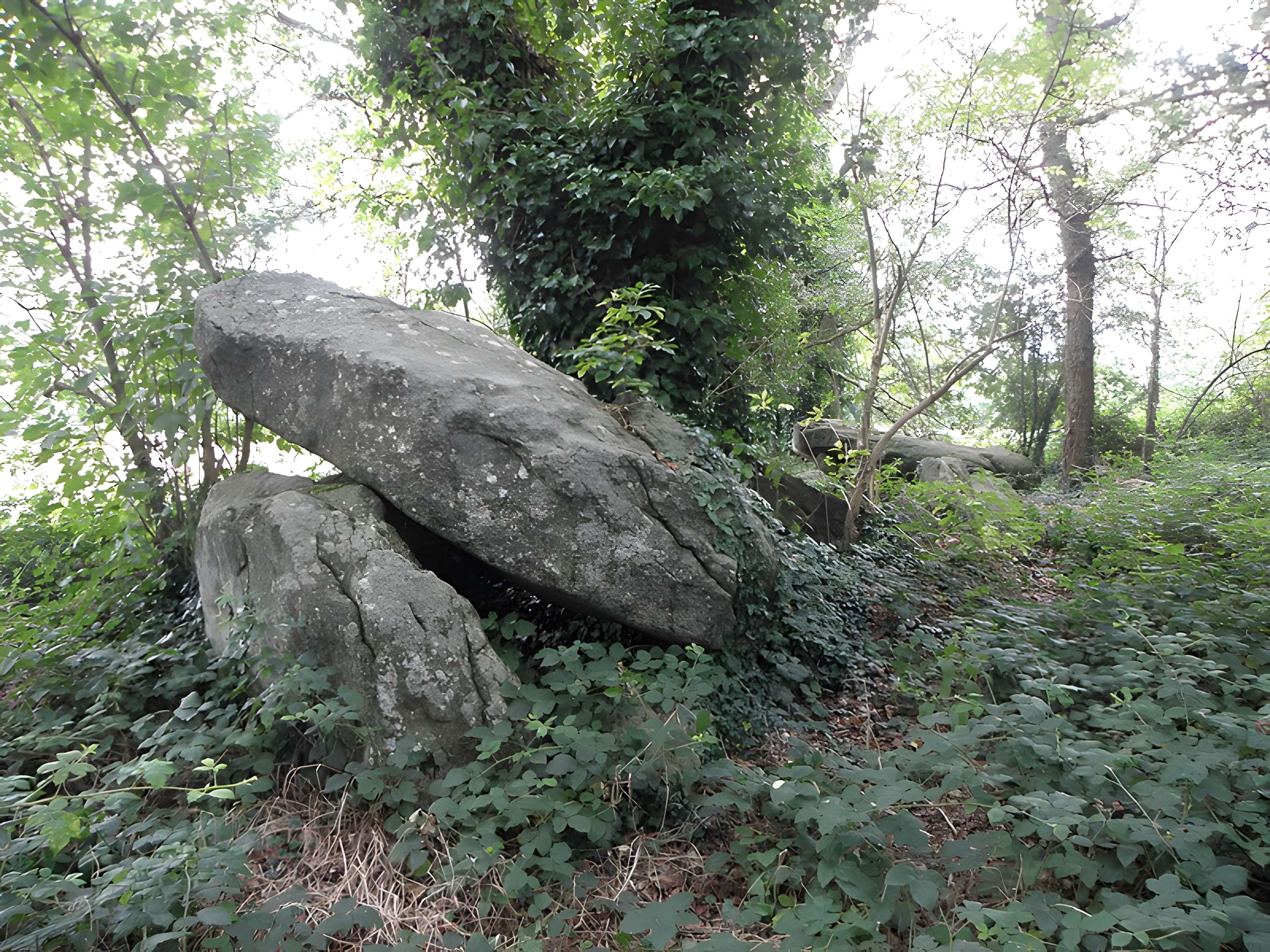 Allée couverte de Four-es-Feins à Miniac-Morvan
