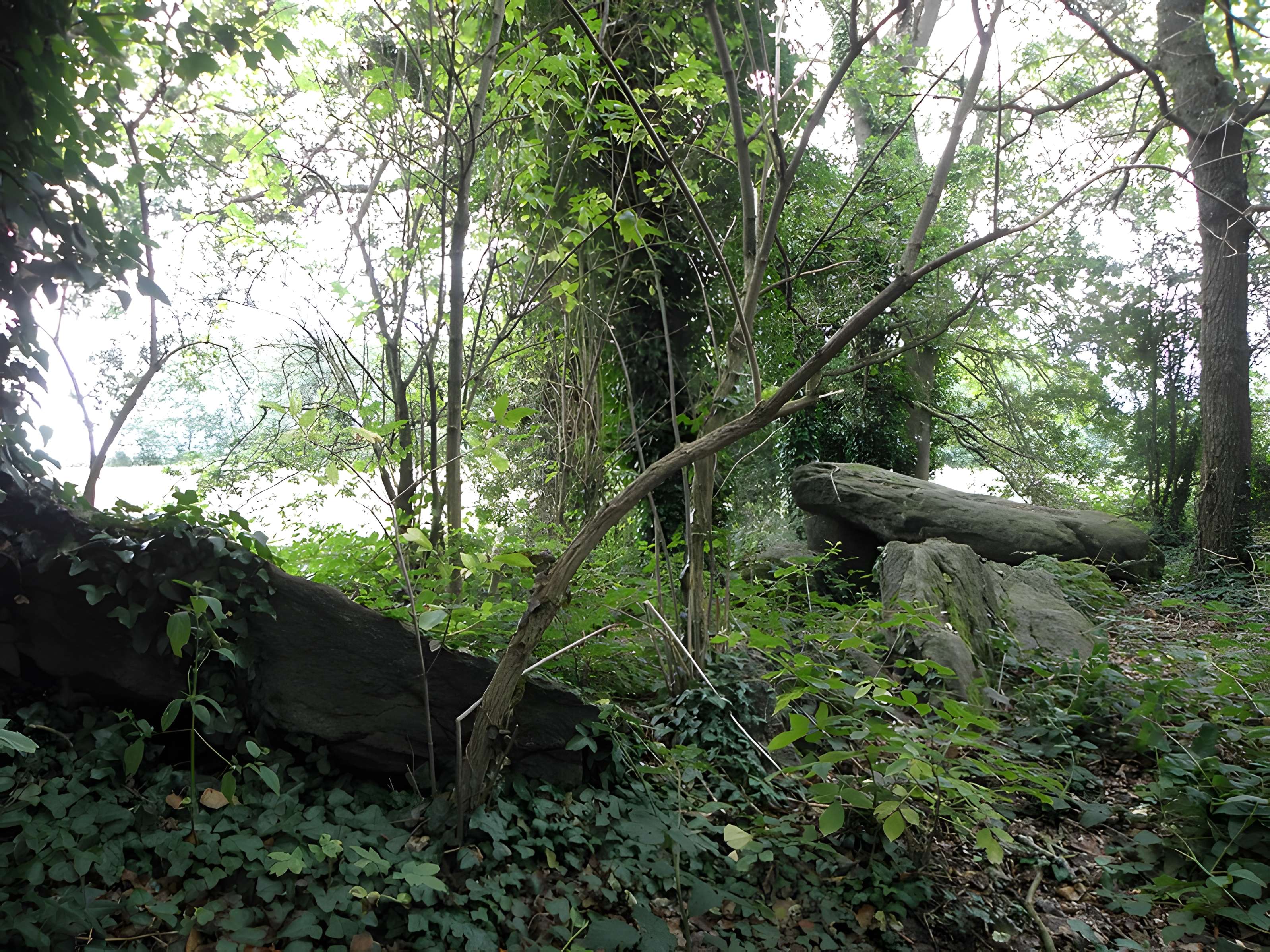Allée couverte de Four-es-Feins à Miniac-Morvan