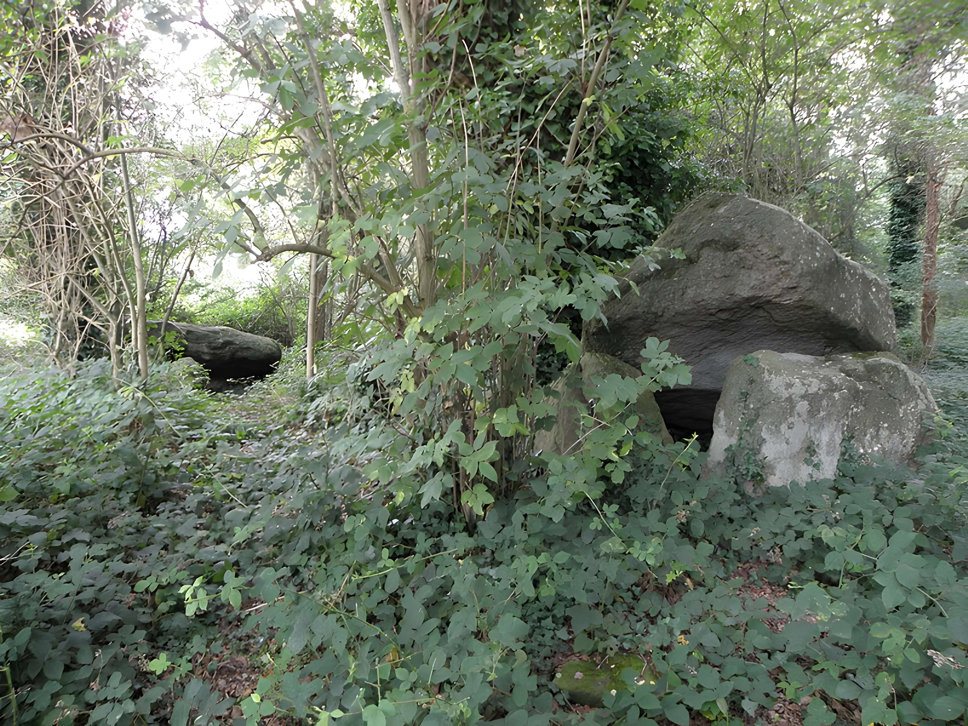 Allée couverte de Four-es-Feins à Miniac-Morvan