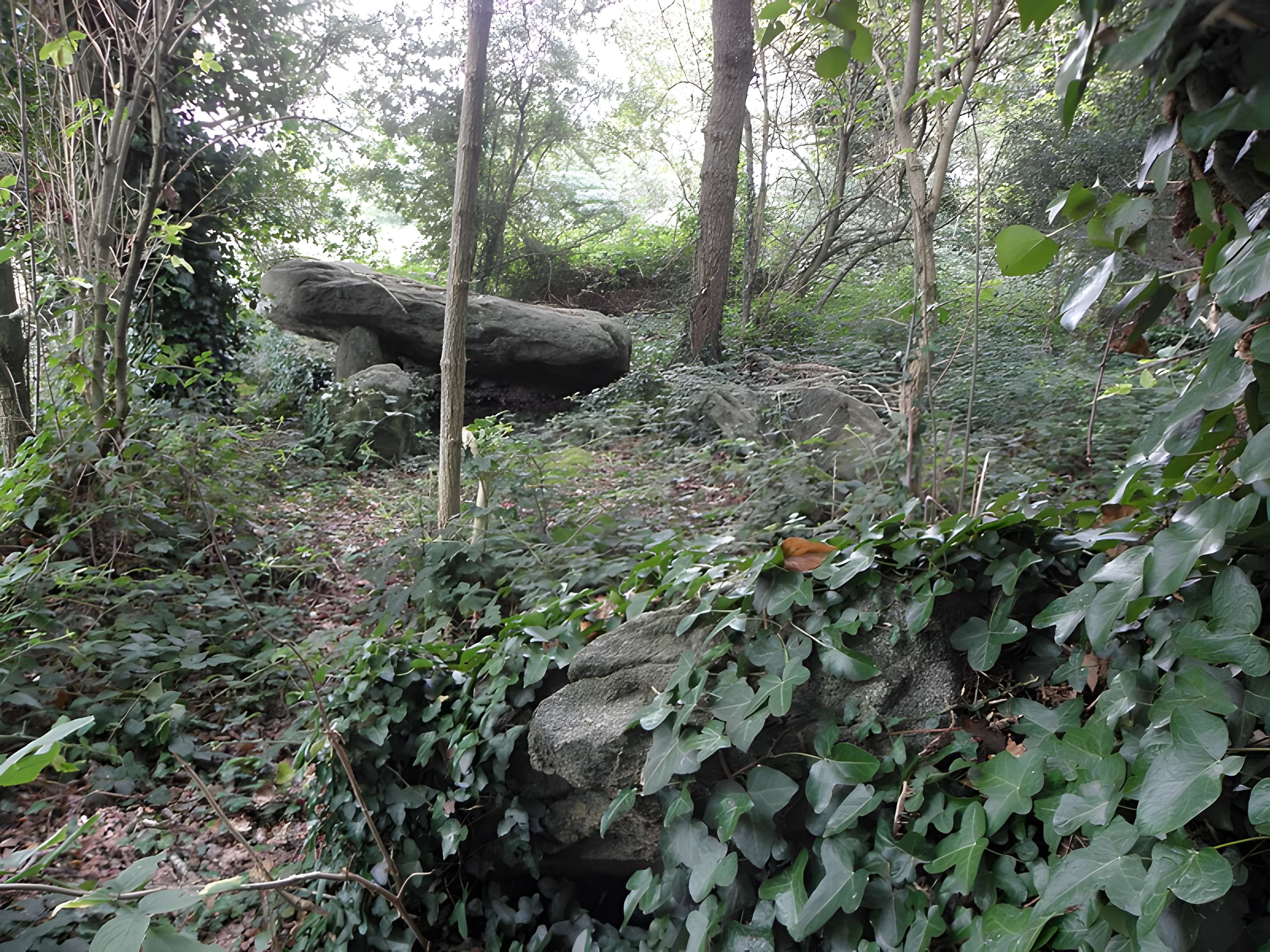 Allée couverte de Four-es-Feins à Miniac-Morvan