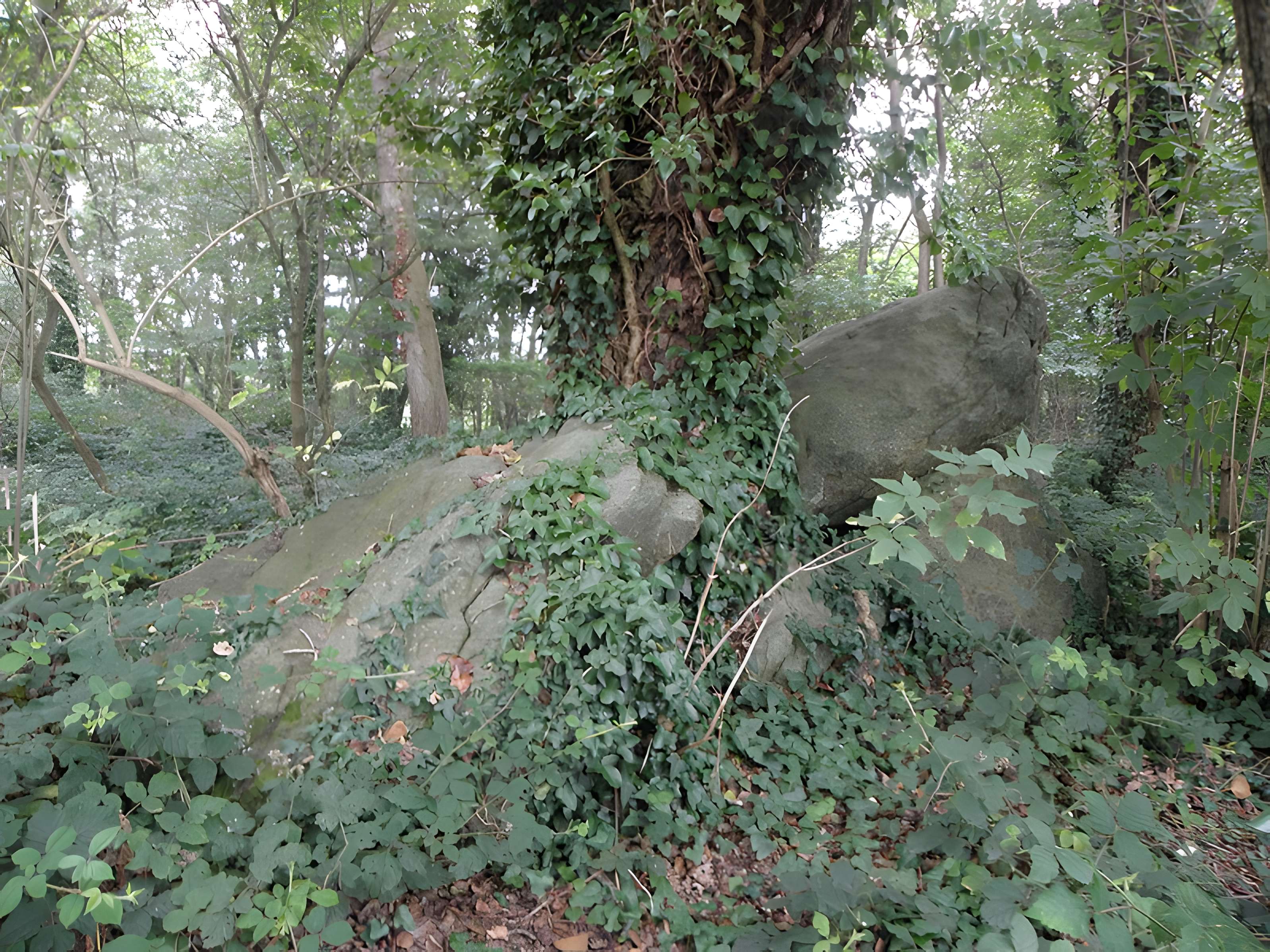 Allée couverte de Four-es-Feins à Miniac-Morvan