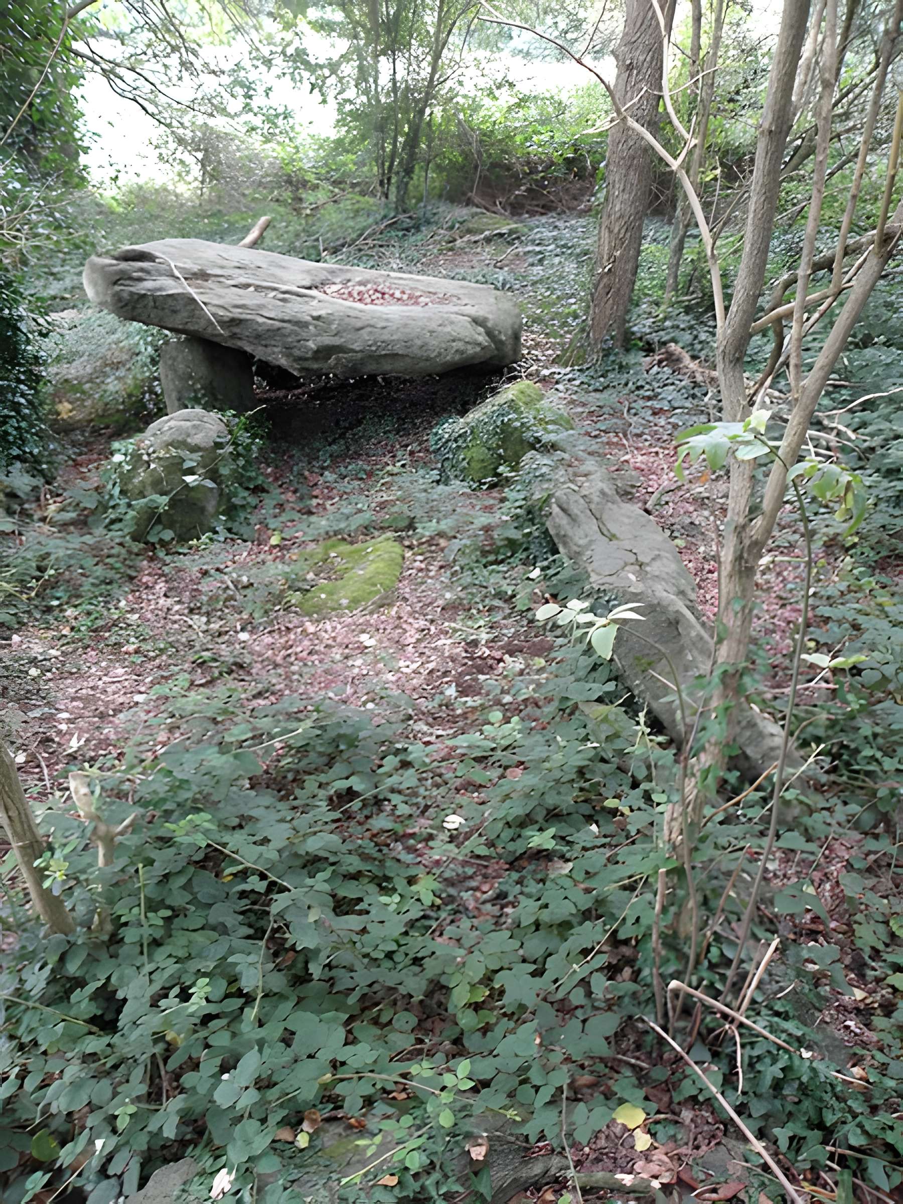 Allée couverte de Four-es-Feins à Miniac-Morvan