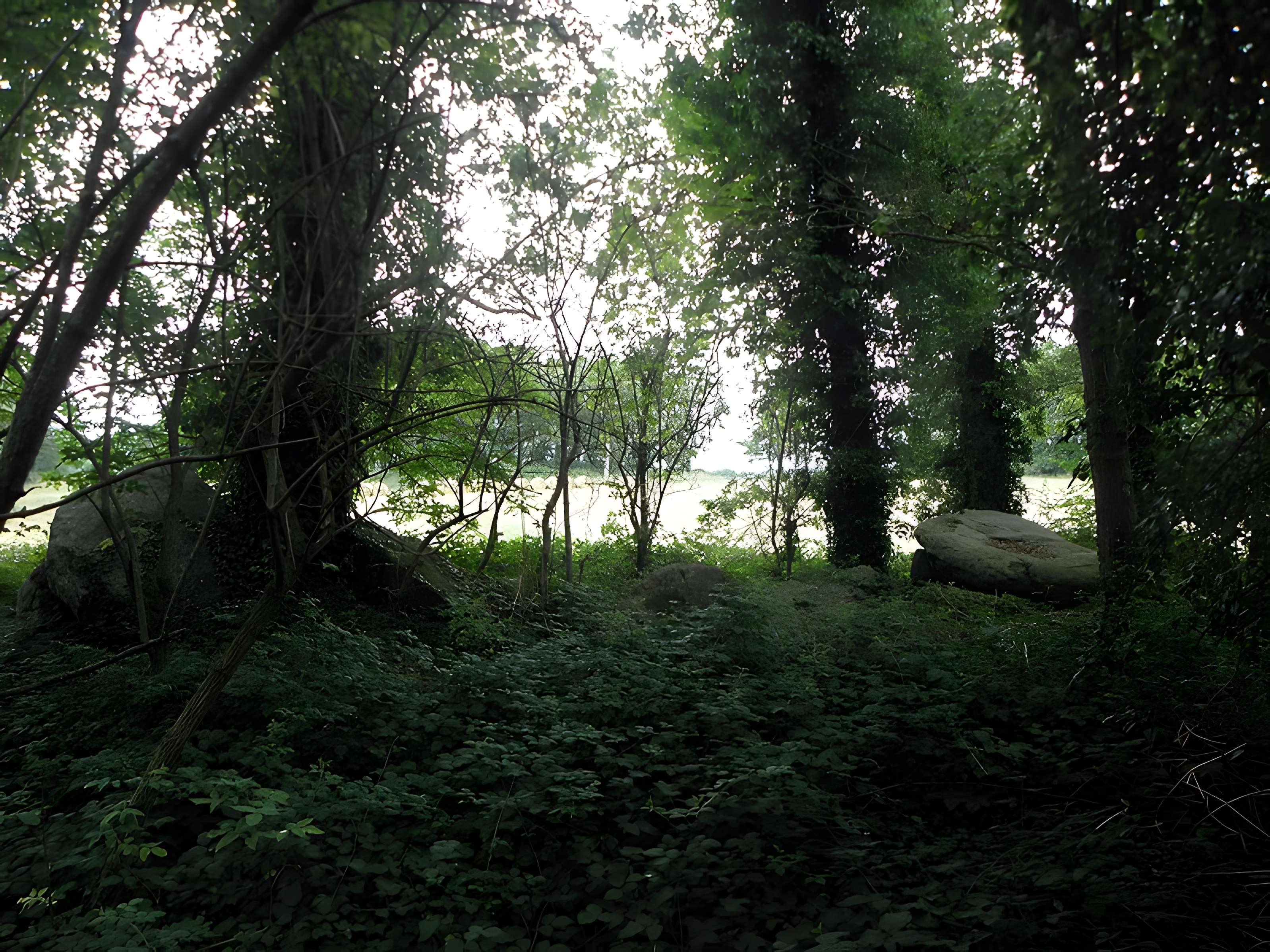 Allée couverte de Four-es-Feins à Miniac-Morvan