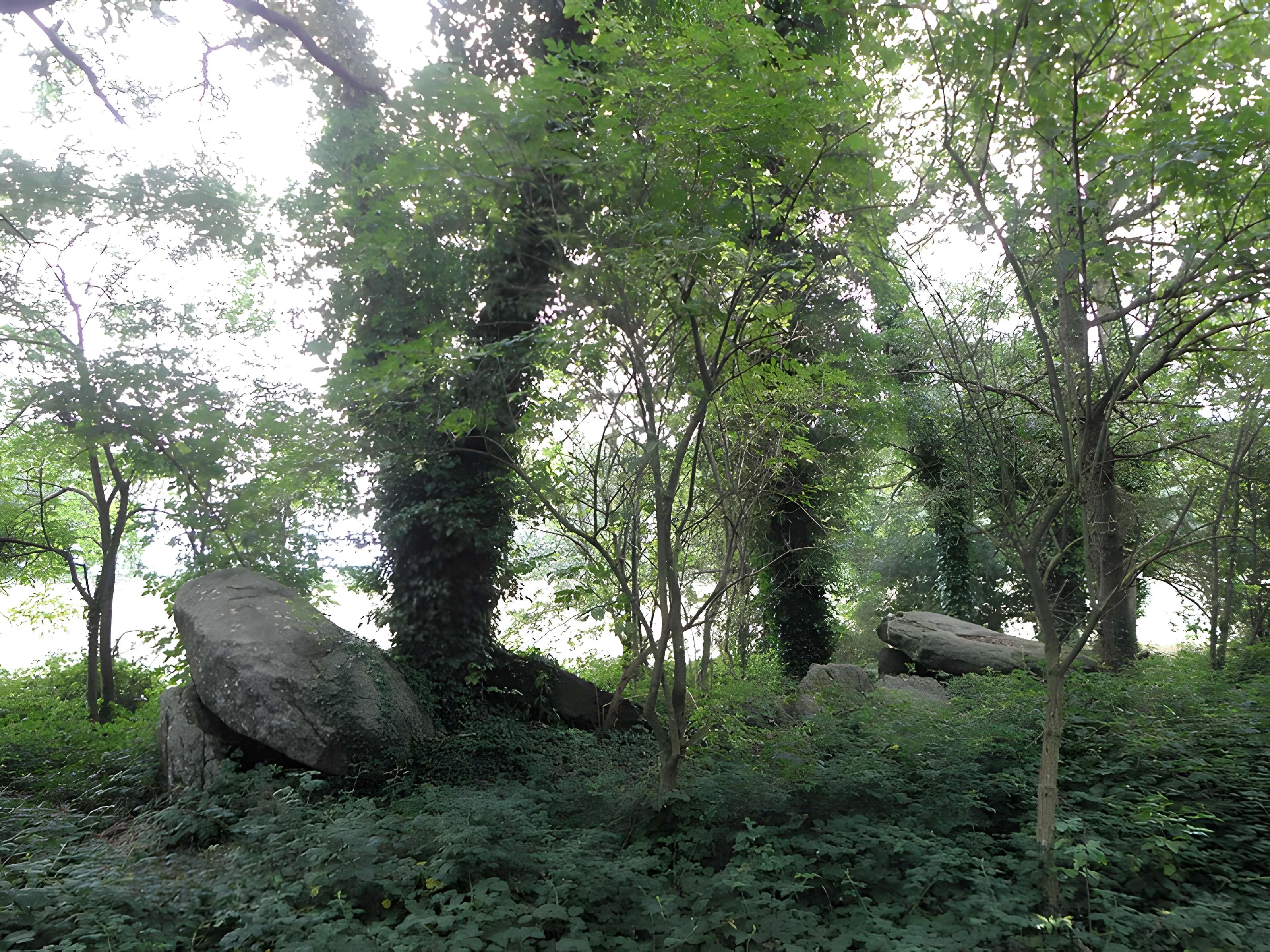 Allée couverte de Four-es-Feins à Miniac-Morvan