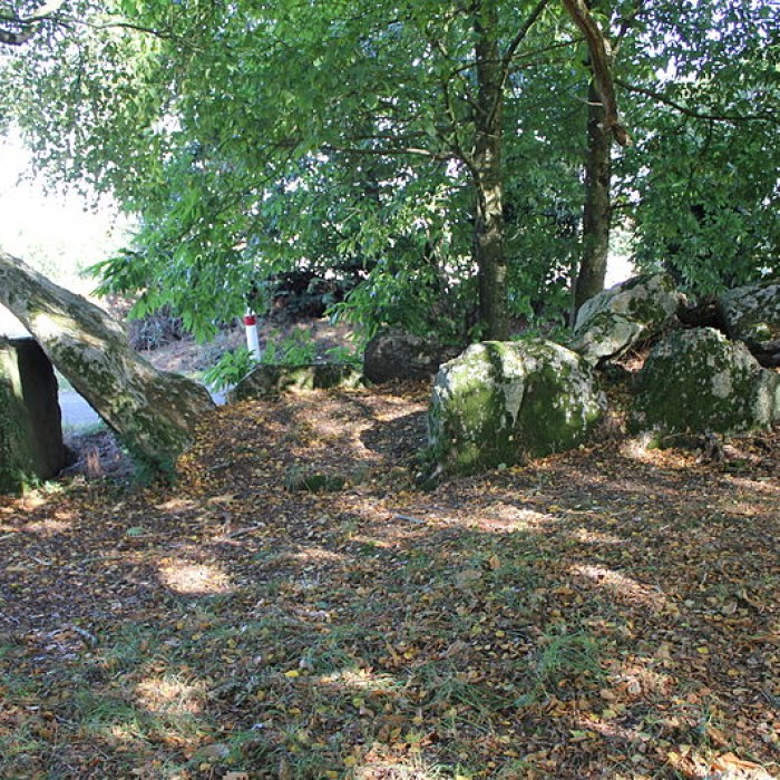 Photo de Allée couverte de Kergonfalz à Bignan