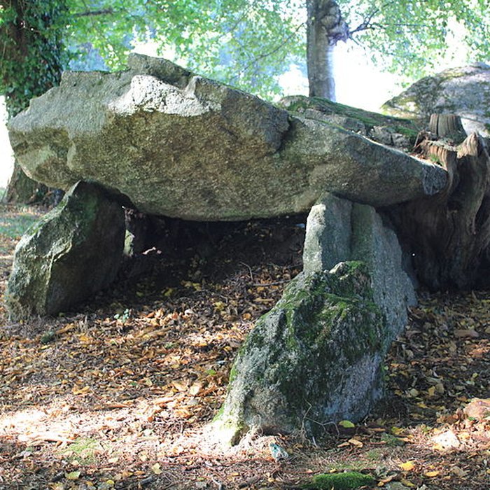 Photo de Allée couverte de Kergonfalz à Bignan