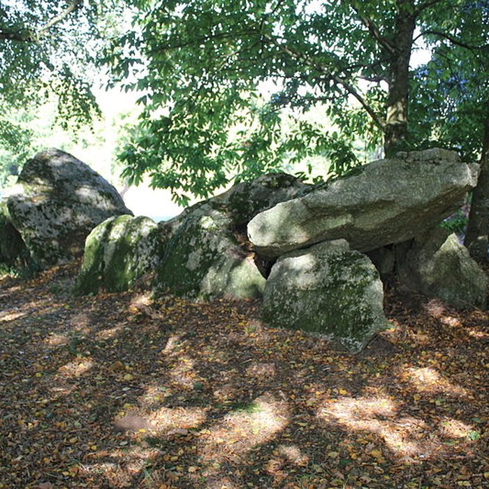 Photo de Allée couverte de Kergonfalz à Bignan