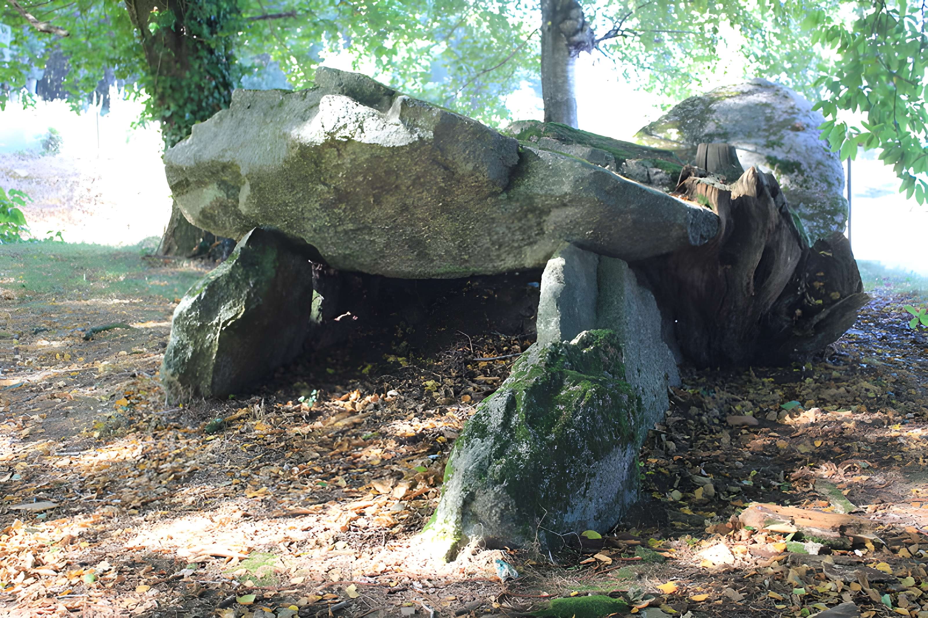 Allée couverte de Kergonfalz à Bignan