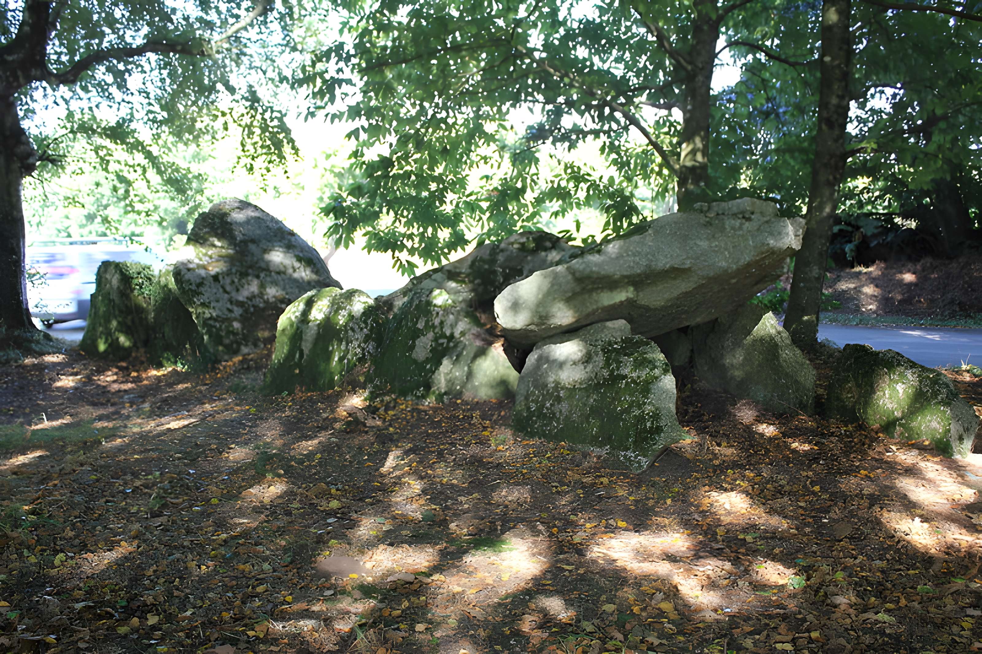Allée couverte de Kergonfalz à Bignan