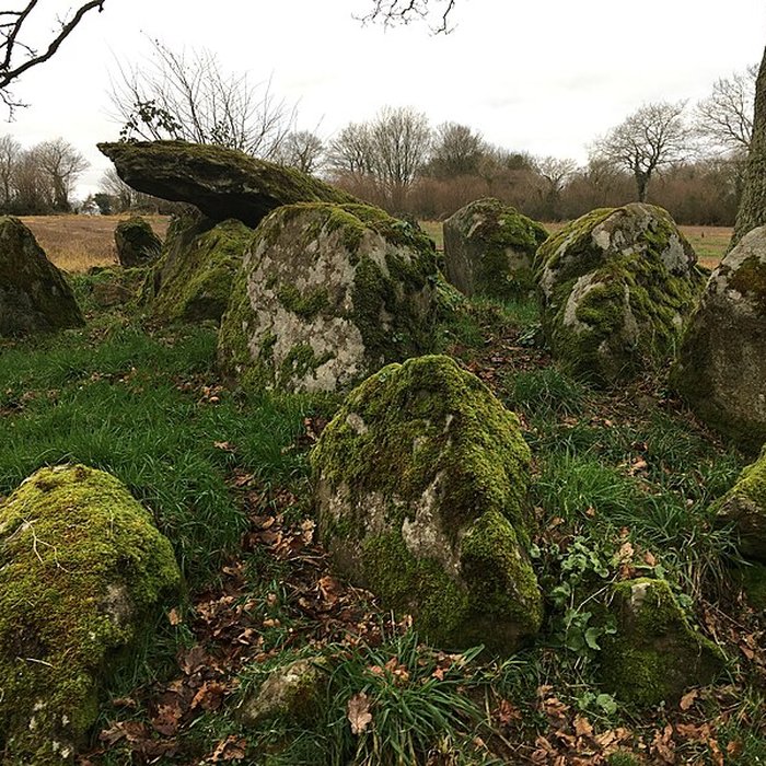 Photo de Allée couverte de Kernescop à Lohuec