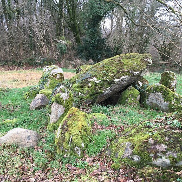 Photo de Allée couverte de Kernescop à Lohuec