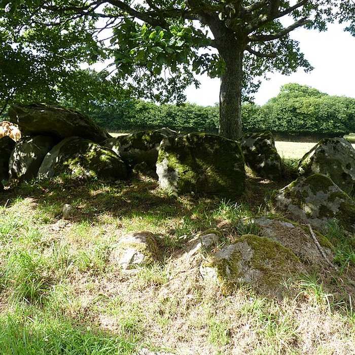 Photo de Allée couverte de Kernescop à Lohuec