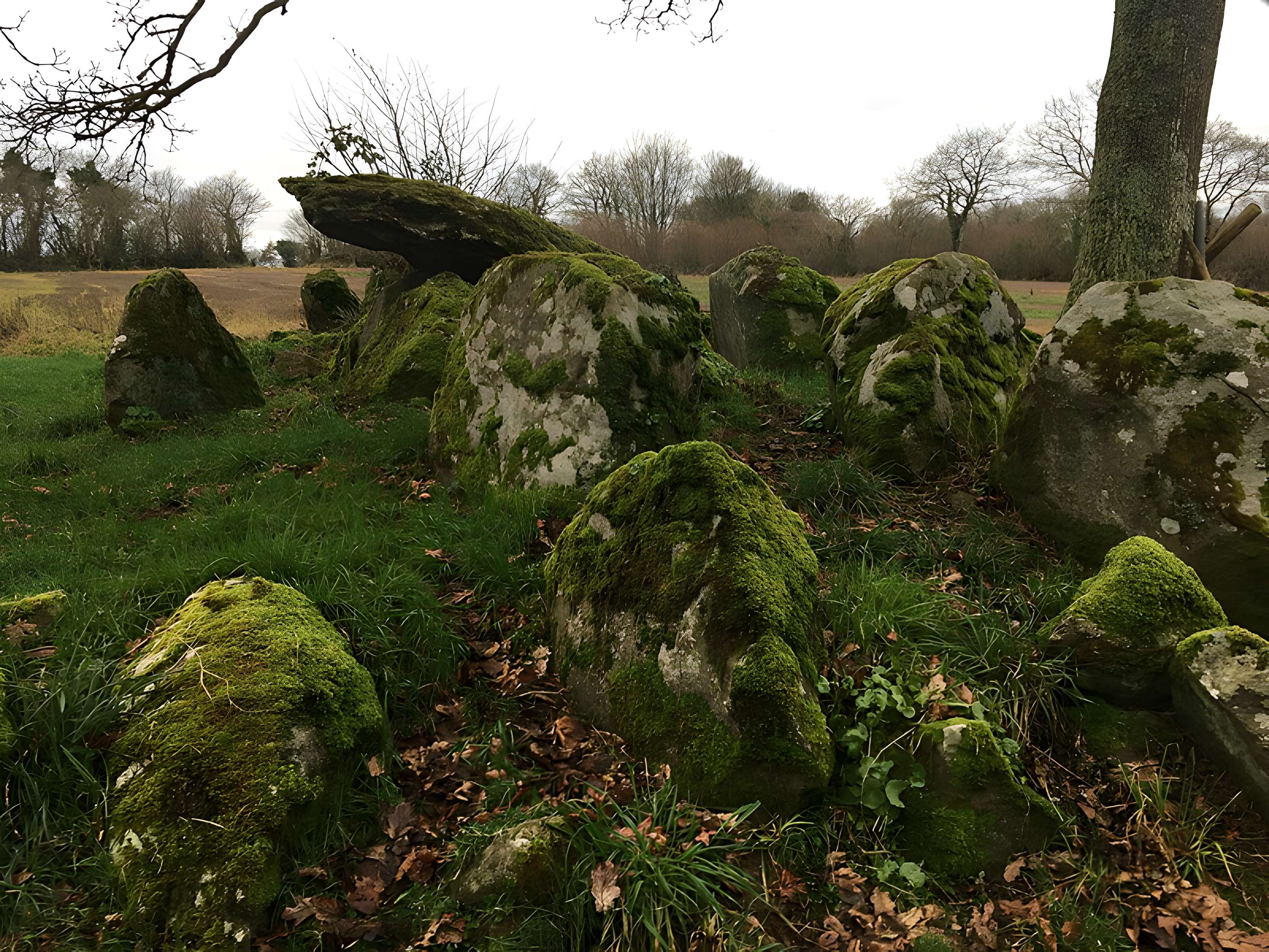 Allée couverte de Kernescop à Lohuec