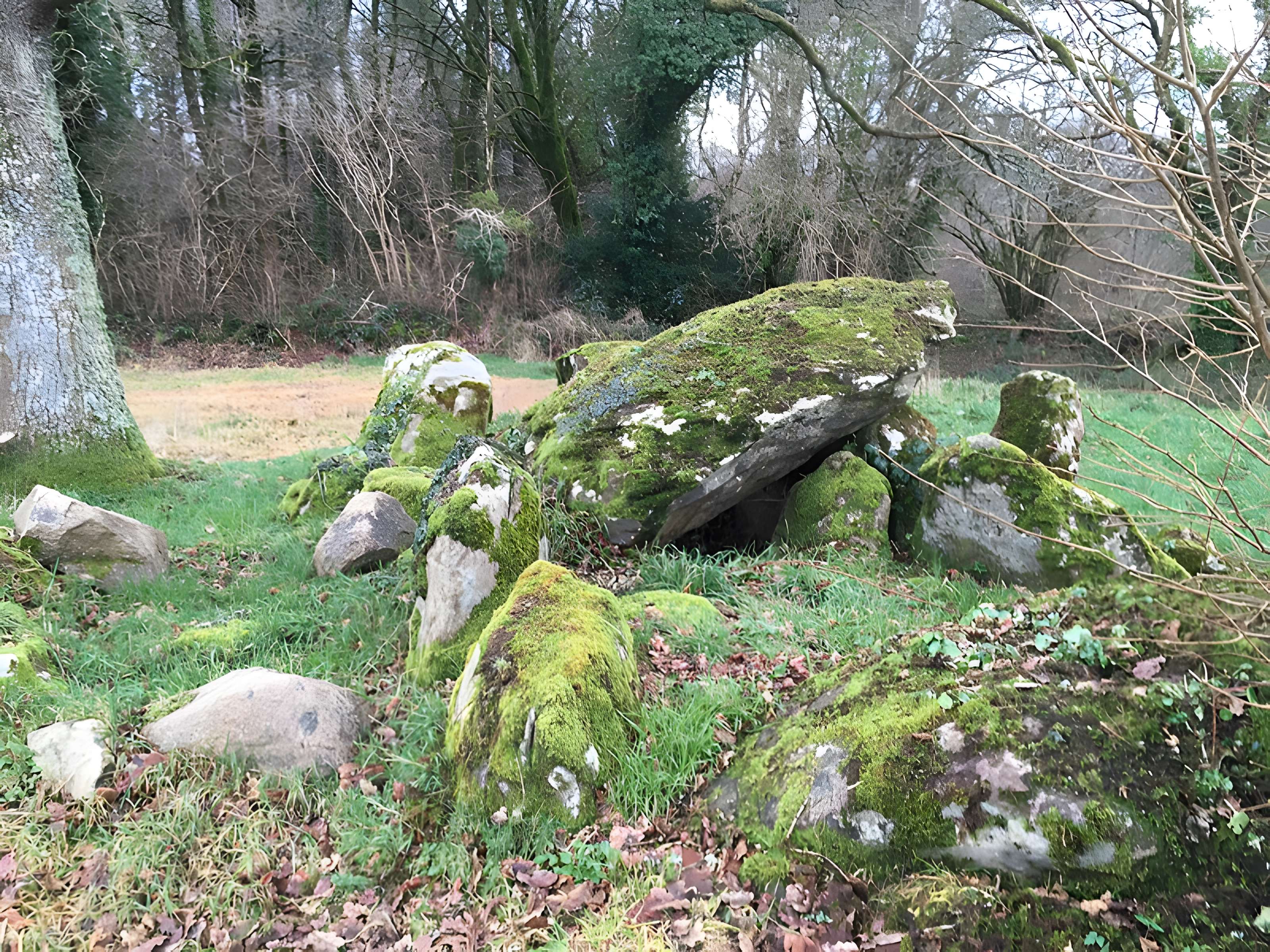 Allée couverte de Kernescop à Lohuec