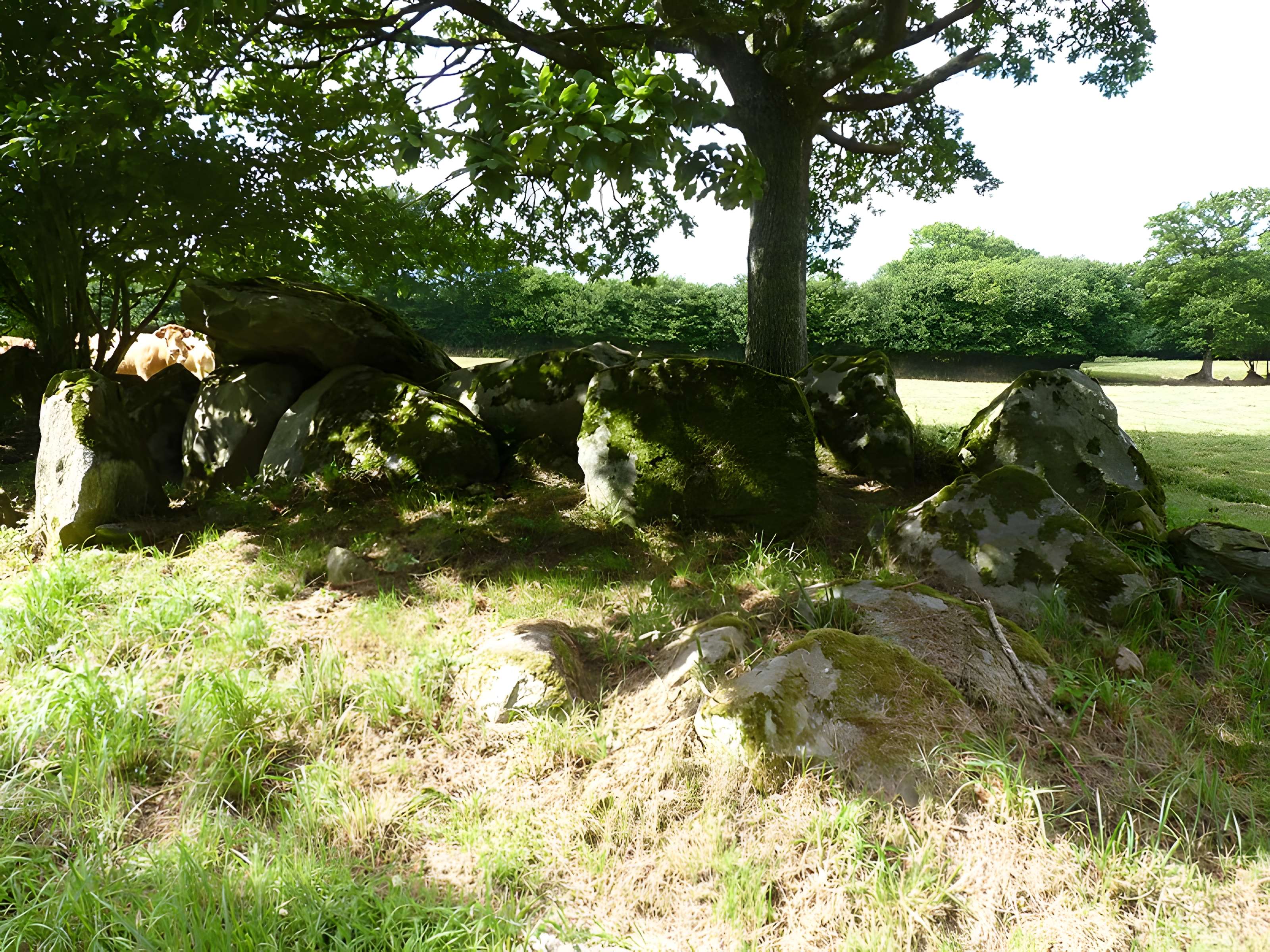 Allée couverte de Kernescop à Lohuec
