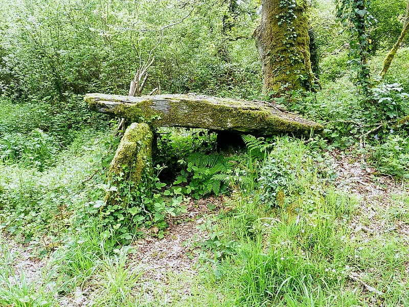 Photo de Allée couverte de Kervonlédic à Motreff