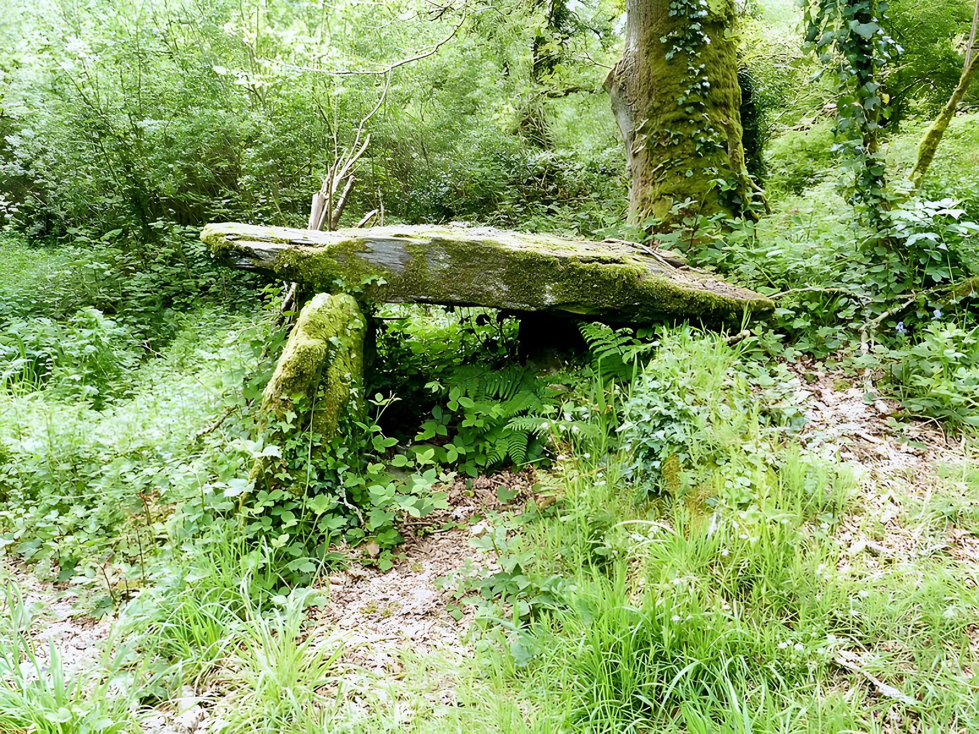 Allée couverte de Kervonlédic à Motreff 