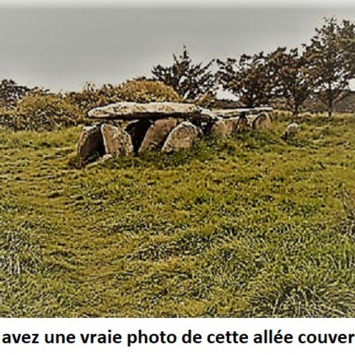 Photo de Allée couverte de la Pierre-Folle à Commequiers