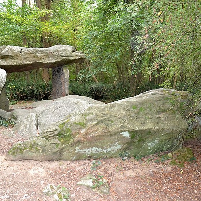 Photo de Allée couverte de la Pierre-Folle à Commequiers