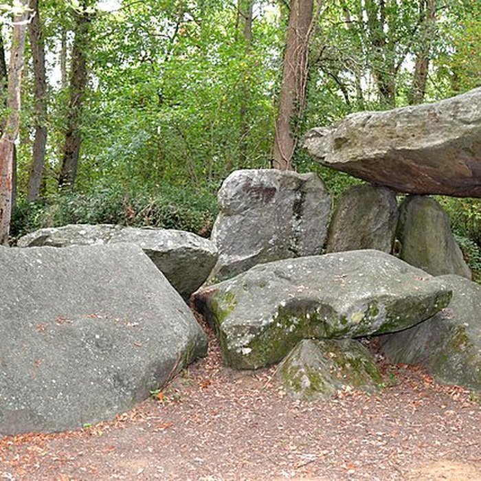 Photo de Allée couverte de la Pierre-Folle à Commequiers