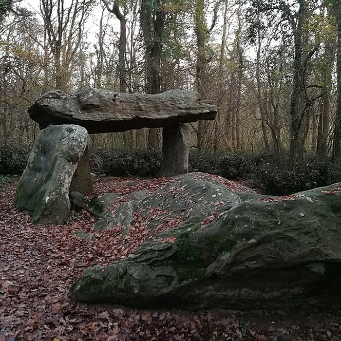 Photo de Allée couverte de la Pierre-Folle à Commequiers