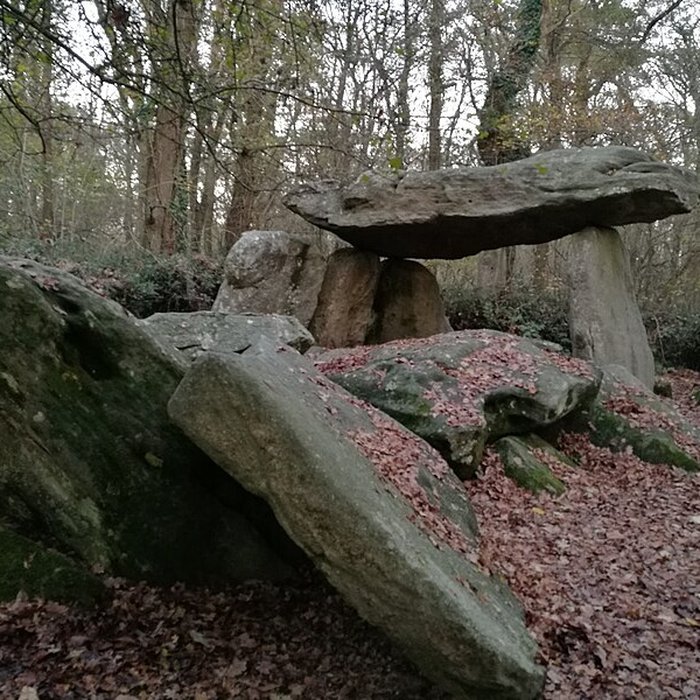 Photo de Allée couverte de la Pierre-Folle à Commequiers