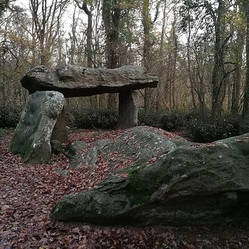 Allée couverte de la Pierre-Folle à Commequiers