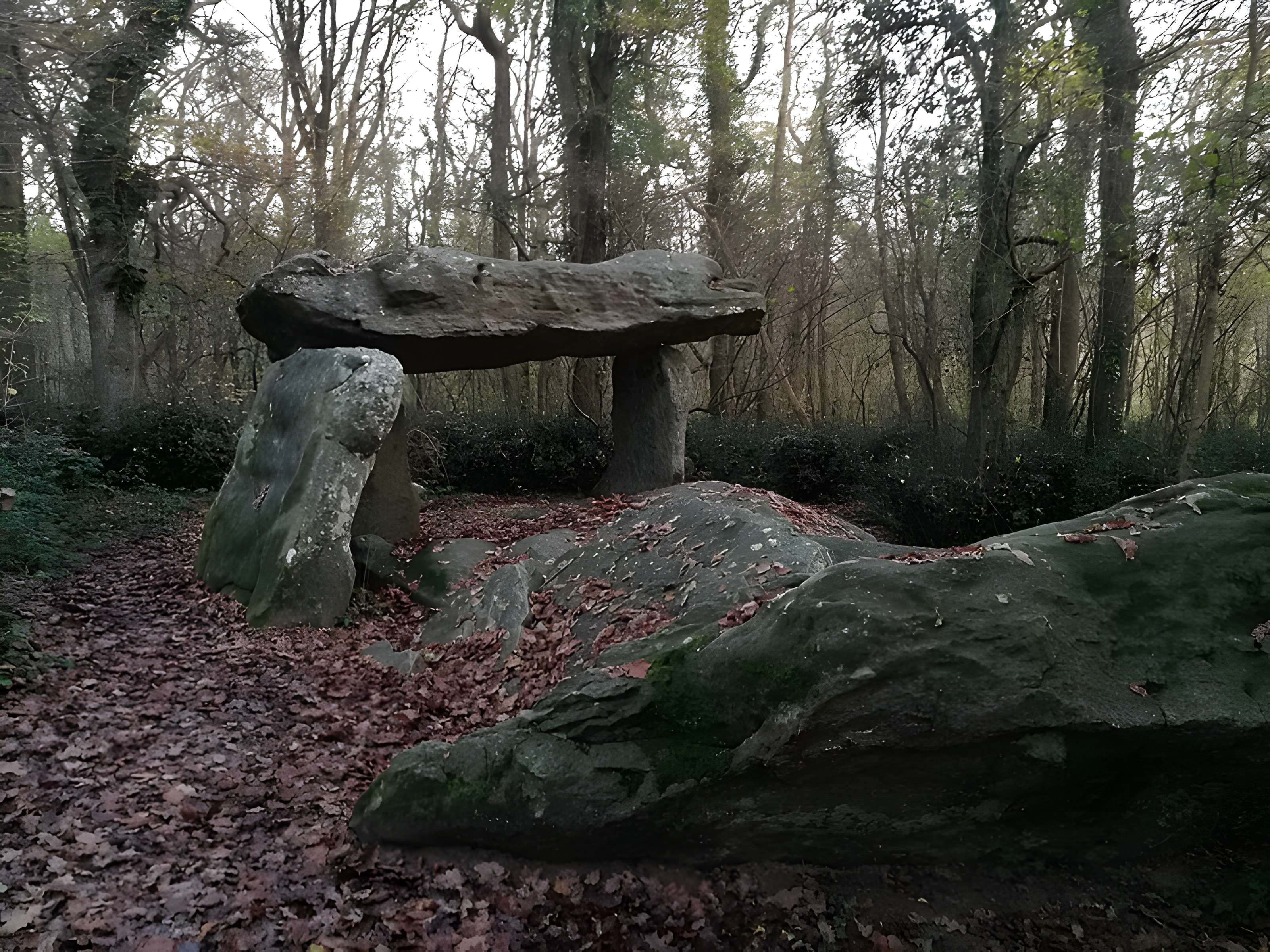 Allée couverte de la Pierre-Folle à Commequiers