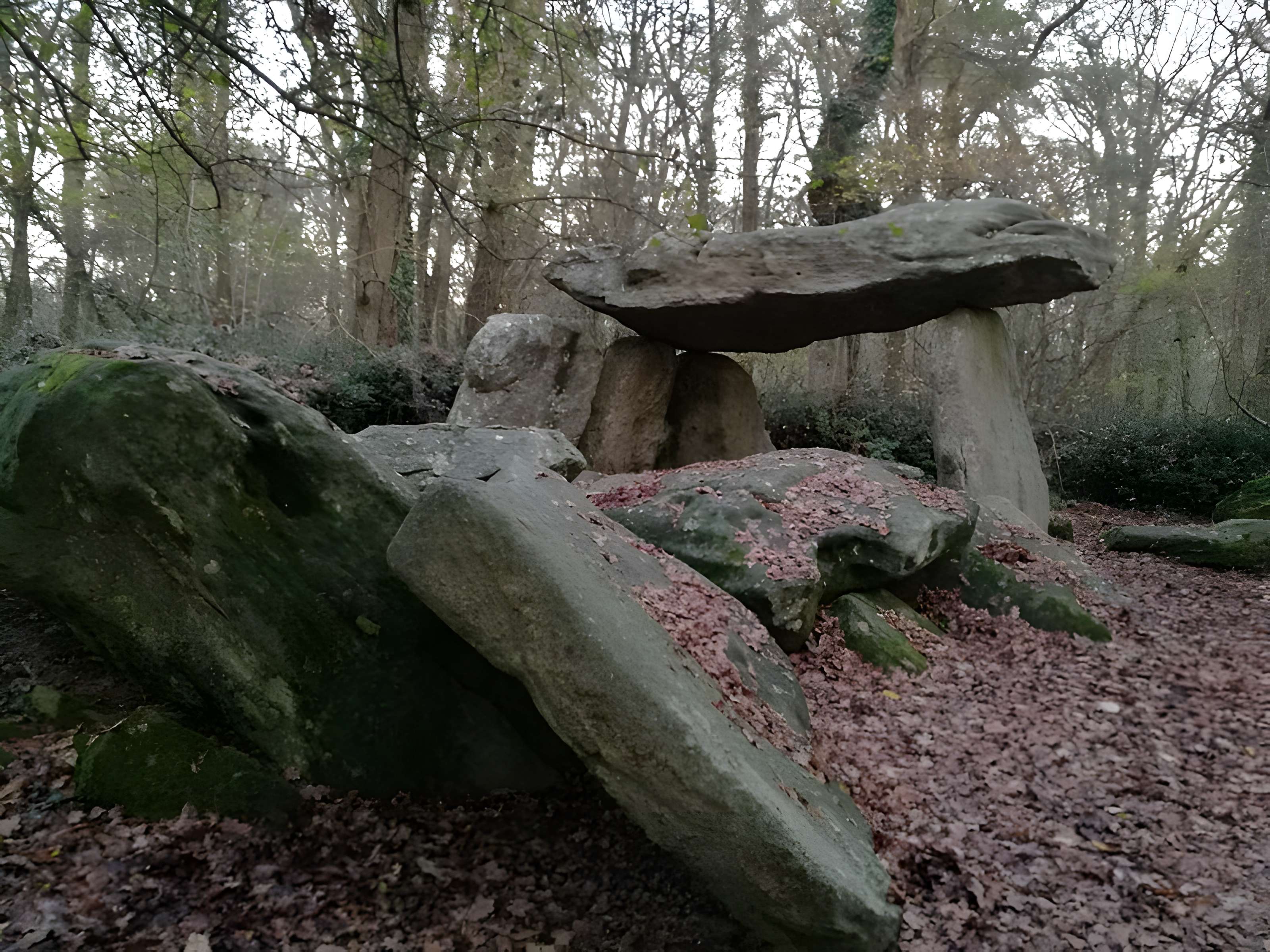 Allée couverte de la Pierre-Folle à Commequiers