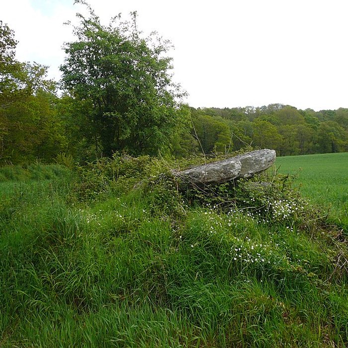 Photo de Allée couverte de Loch ar Pont à Melgven