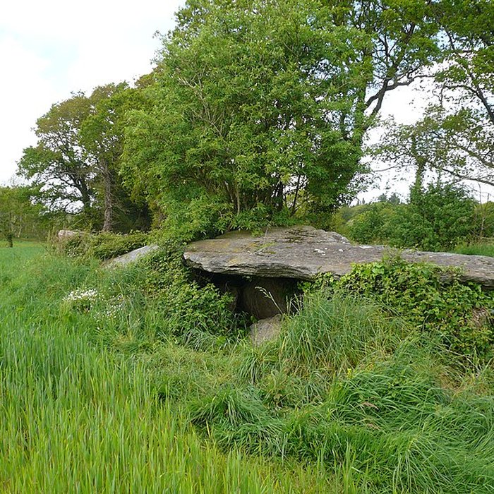 Photo de Allée couverte de Loch ar Pont à Melgven