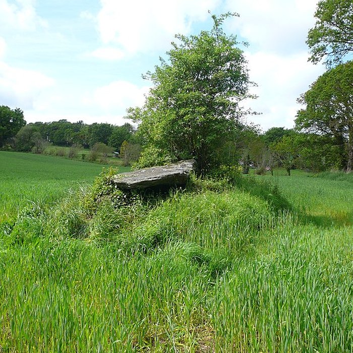 Photo de Allée couverte de Loch ar Pont à Melgven