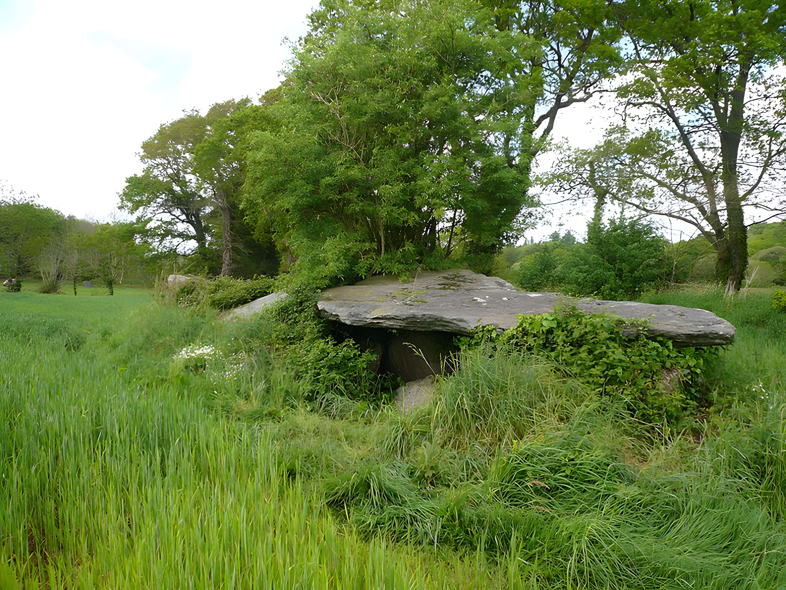 Allée couverte de Loc'h ar Pont à Melgven