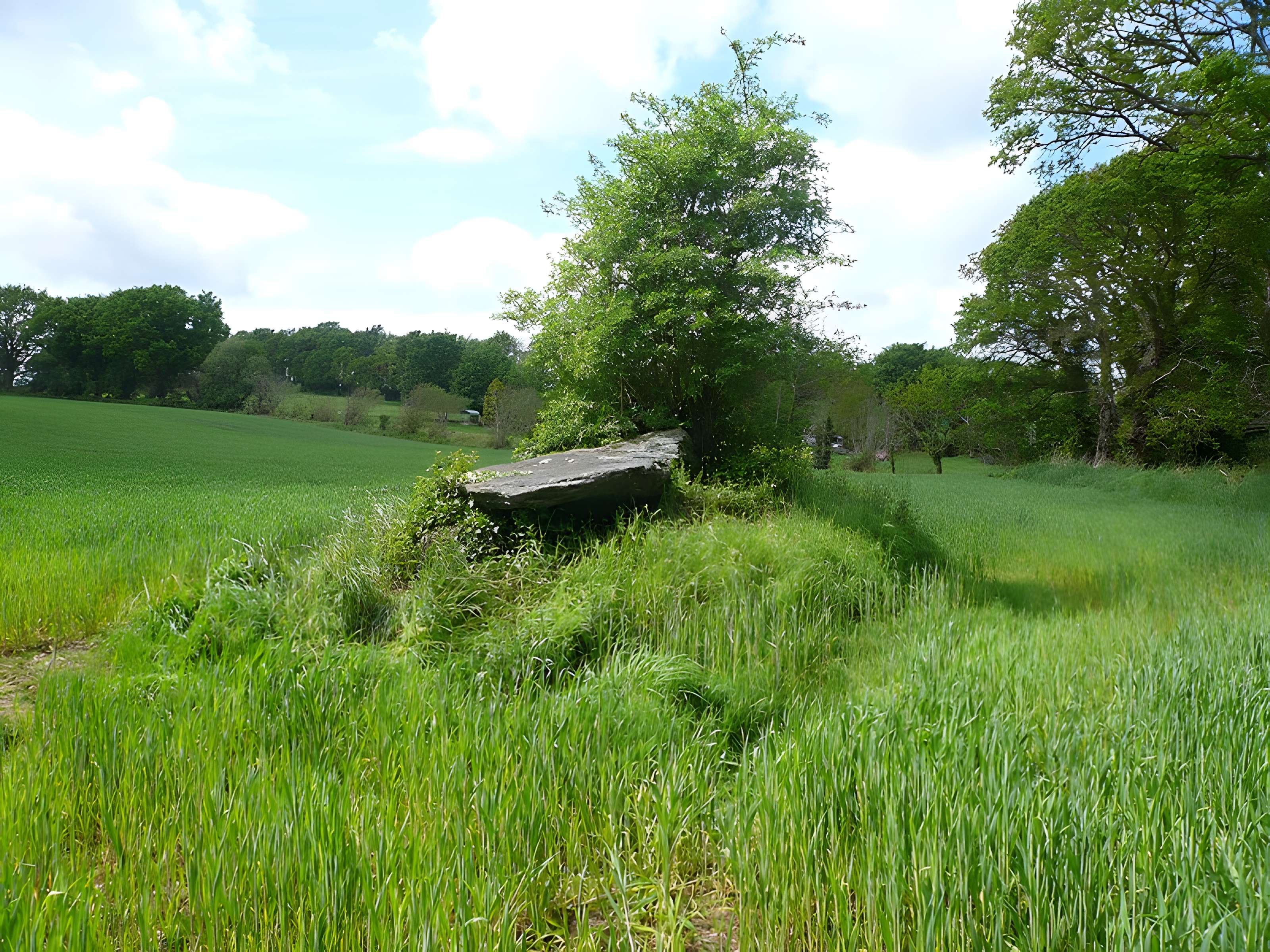 Allée couverte de Loc'h ar Pont à Melgven