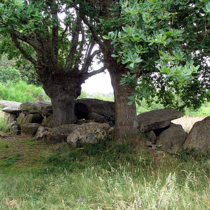 Photo de Allée couverte de Moëlan-sur-Mer