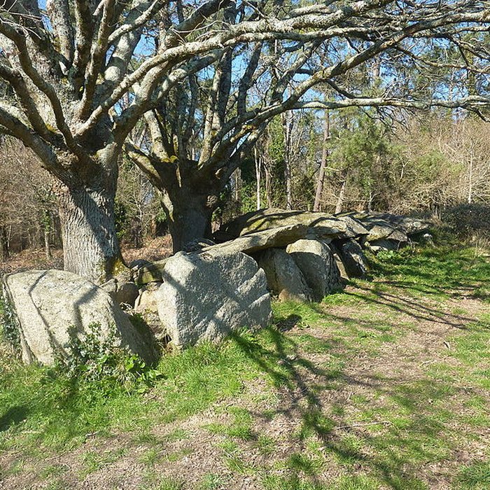 Photo de Allée couverte de Moëlan-sur-Mer