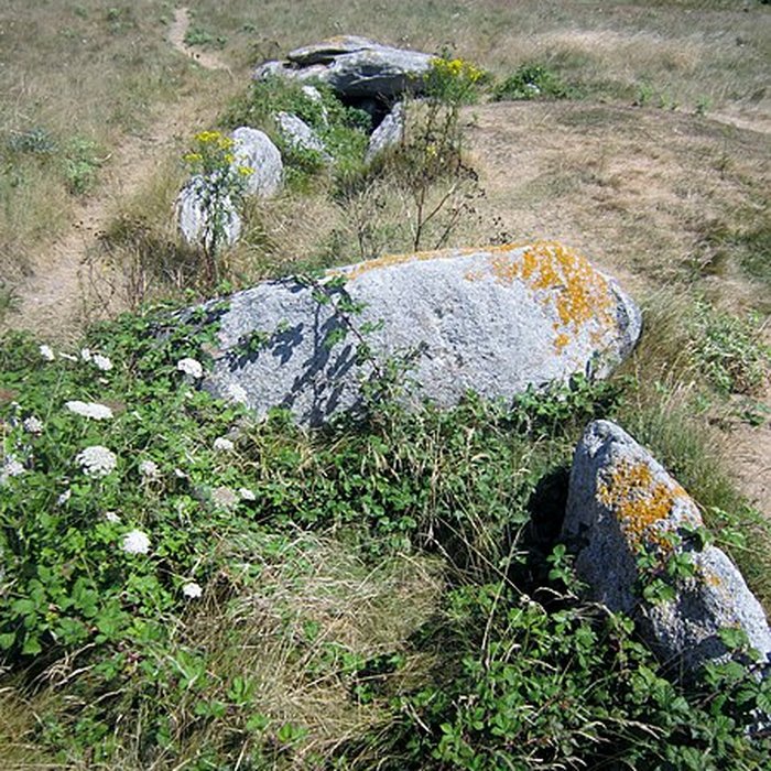Photo de Allée couverte de Pont-ar-Bleiz à Lampaul-Ploudalmézeau