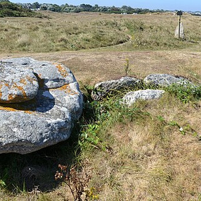 Photo de Allée couverte de Pont-ar-Bleiz à Lampaul-Ploudalmézeau