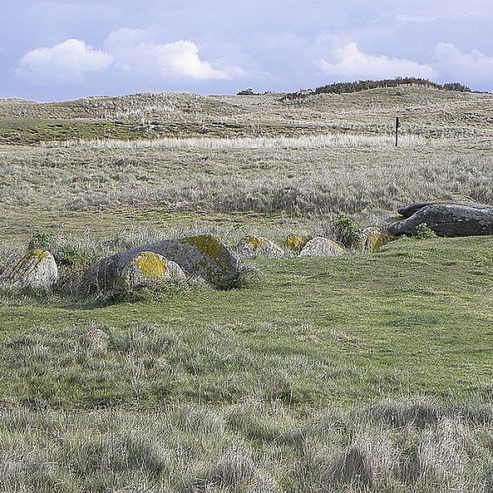 Photo de Allée couverte de Pont-ar-Bleiz à Lampaul-Ploudalmézeau