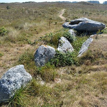 Allée couverte de Pont-ar-Bleiz à Lampaul-Ploudalmézeau