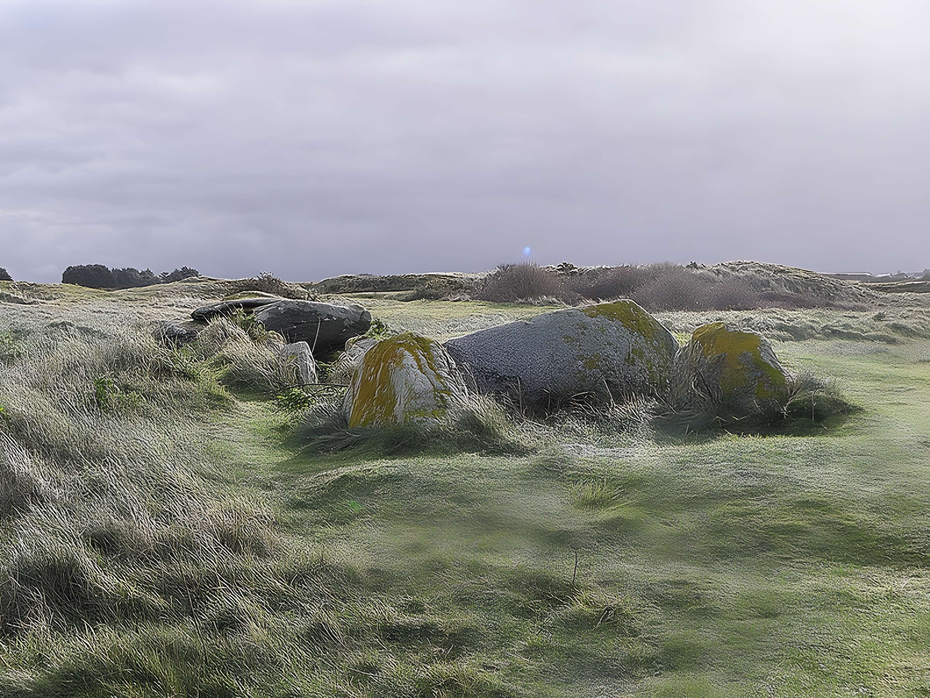 Allée couverte de Pont-ar-Bleiz à Lampaul-Ploudalmézeau